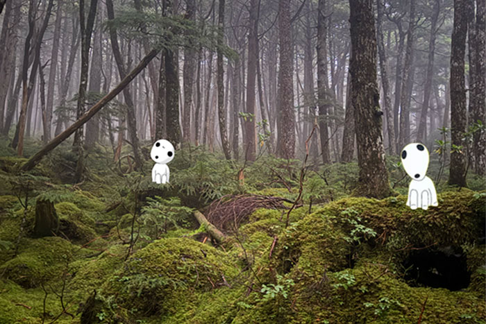 こだまが映るもののけの森のイメージ